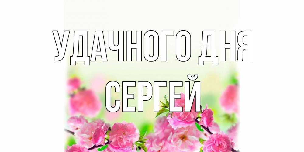 Открытка на каждый день с именем, Сергей Удачного дня цветы Прикольная открытка с пожеланием онлайн скачать бесплатно 