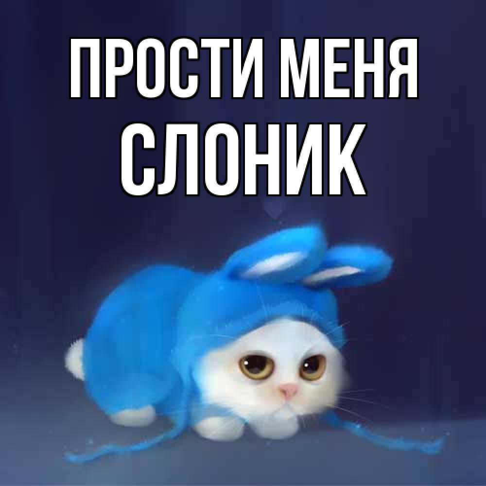 Открытка на каждый день с именем, Слоник Прости меня невинный котозай просит прощения Прикольная открытка с пожеланием онлайн скачать бесплатно 