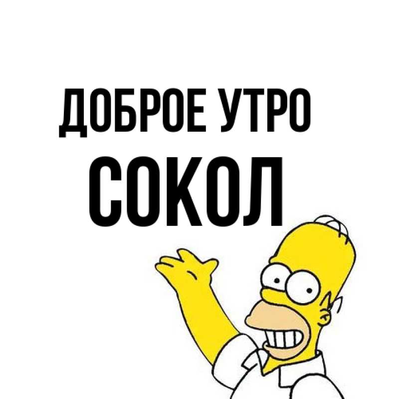 Картинка Доброе утро, Сокол