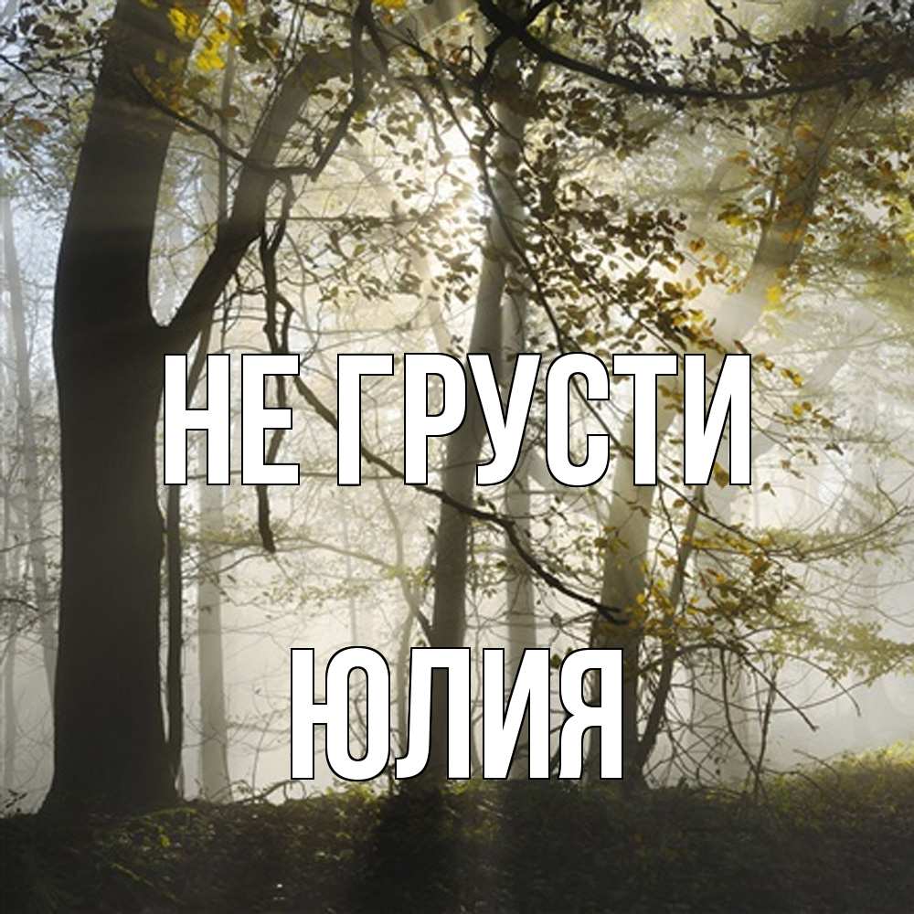 Открытка на каждый день с именем, Юлия Не грусти лес и свет Прикольная открытка с пожеланием онлайн скачать бесплатно 