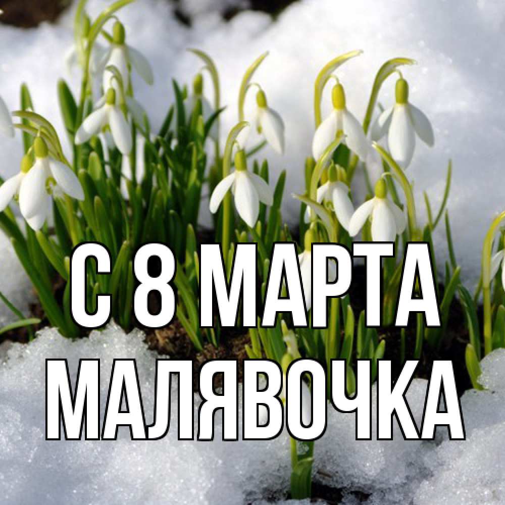 Открытка на каждый день с именем, малявочка C 8 МАРТА цветы весенние Прикольная открытка с пожеланием онлайн скачать бесплатно 