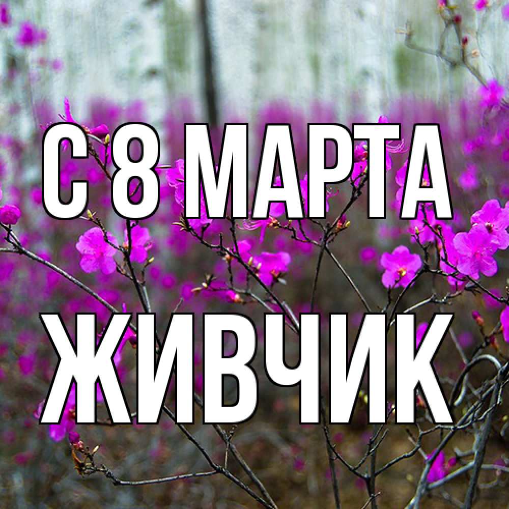 Открытка на каждый день с именем, Живчик C 8 МАРТА дикие цветы Прикольная открытка с пожеланием онлайн скачать бесплатно 