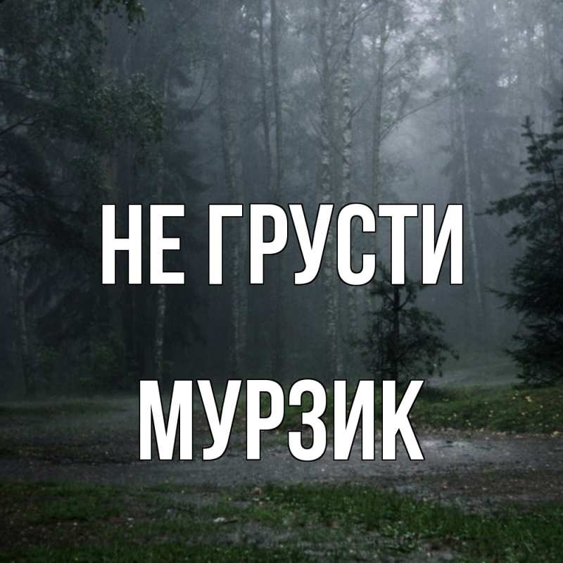 Картинка Не грусти, Мурзик