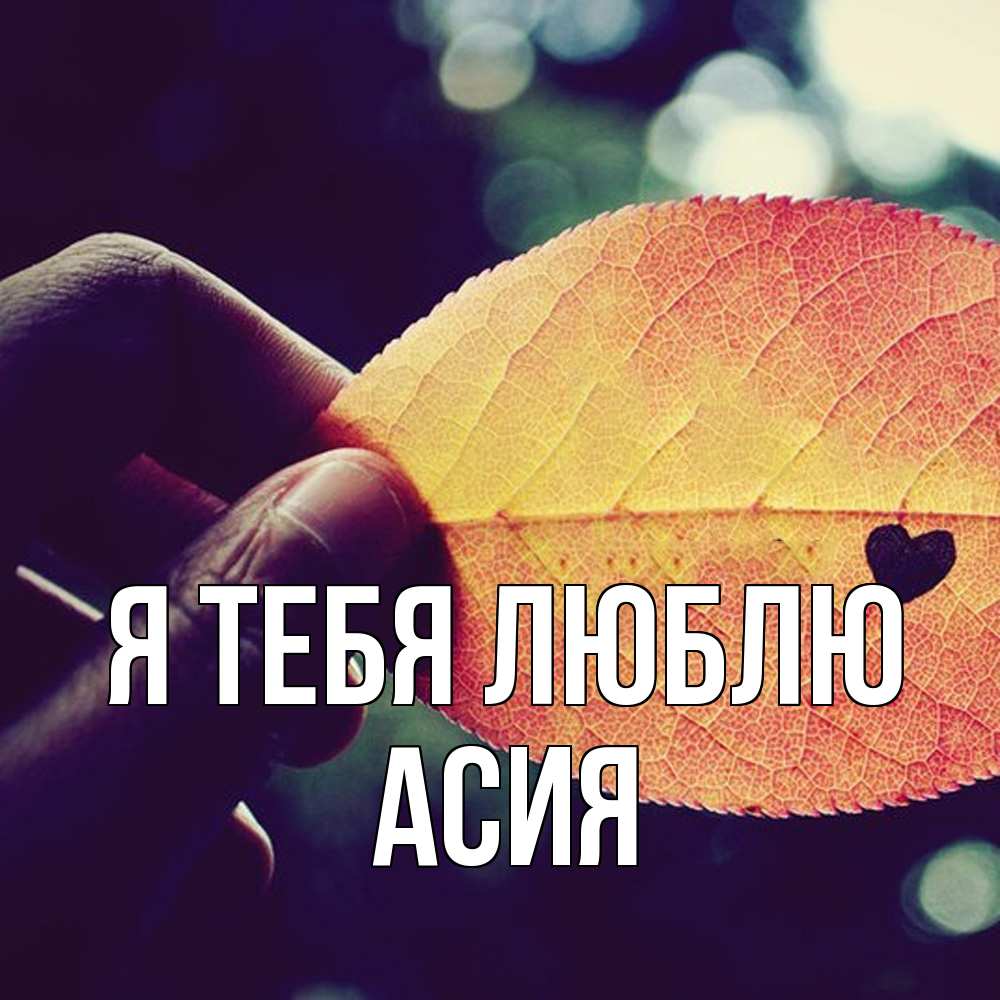 Открытка на каждый день с именем, Асия Я тебя люблю держу лист Прикольная открытка с пожеланием онлайн скачать бесплатно 