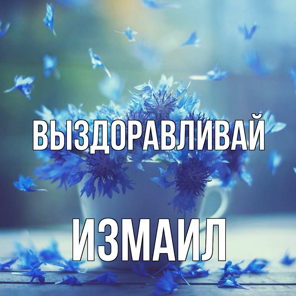 Открытка на каждый день с именем, Измаил Выздоравливай кружка с зельем и цветами Прикольная открытка с пожеланием онлайн скачать бесплатно 