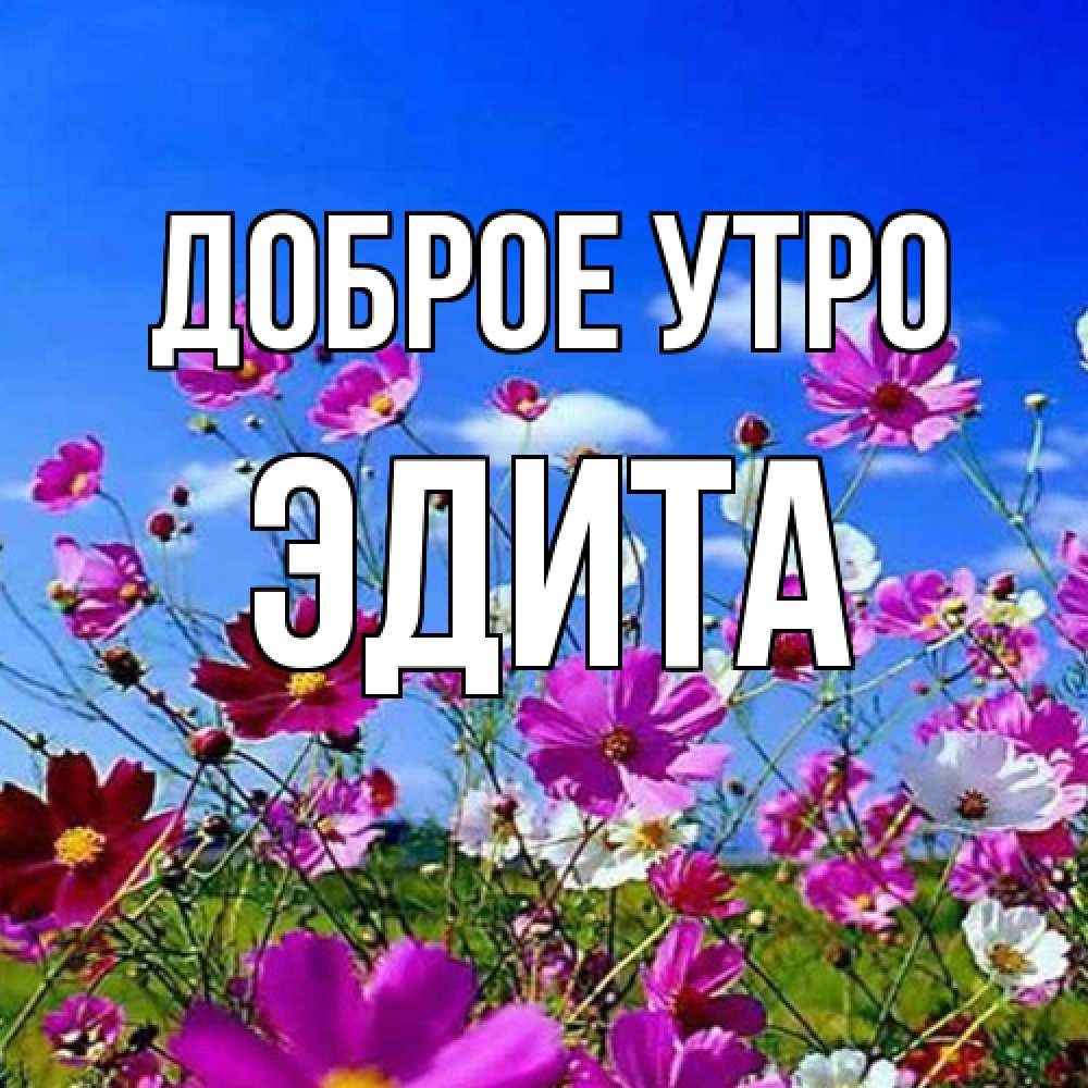 Открытка на каждый день с именем, Эдита Доброе утро сиреневые цветы Прикольная открытка с пожеланием онлайн скачать бесплатно 