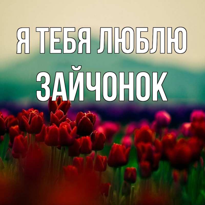 Картинка Я тебя люблю, Зайчонок