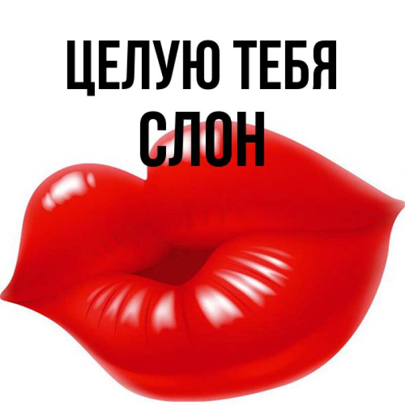 Картинка Целую тебя, Слон