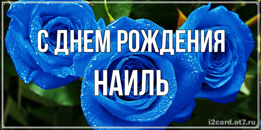 Открытка на каждый день с именем, Наиль С днем рождения розы с синим цветом Прикольная открытка с пожеланием онлайн скачать бесплатно 