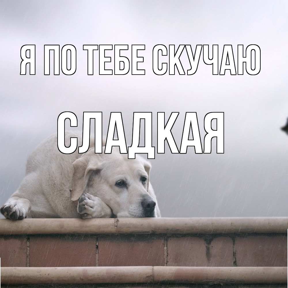 Открытка на каждый день с именем, сладкая Я по тебе скучаю ждет Прикольная открытка с пожеланием онлайн скачать бесплатно 