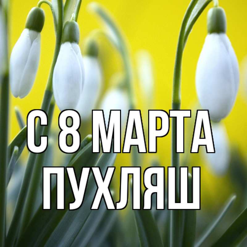 Картинка C 8 МАРТА, пухляш