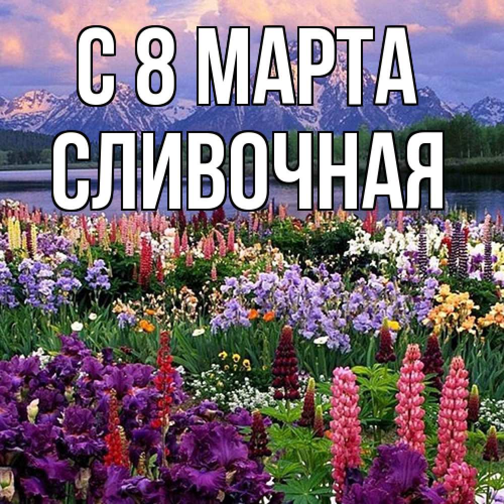Открытка на каждый день с именем, Сливочная C 8 МАРТА международный женский день Прикольная открытка с пожеланием онлайн скачать бесплатно 