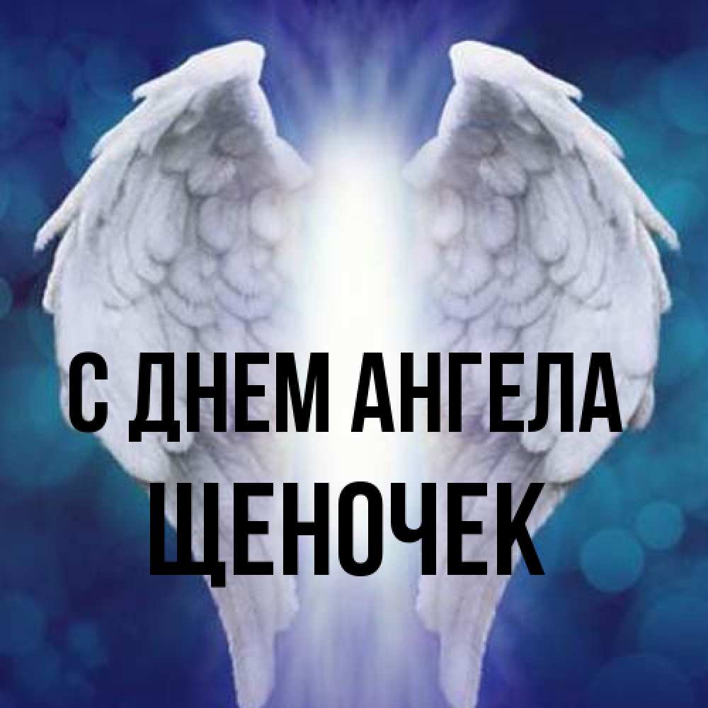 Открытка на каждый день с именем, Щеночек С днем ангела синий фон и крылышки Прикольная открытка с пожеланием онлайн скачать бесплатно 
