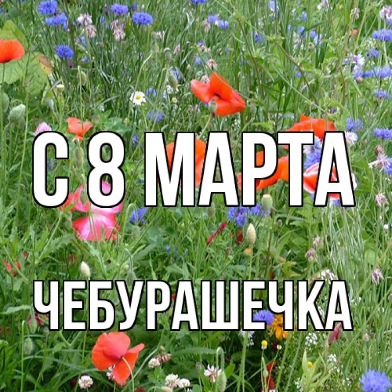 Картинка C 8 МАРТА, Чебурашечка