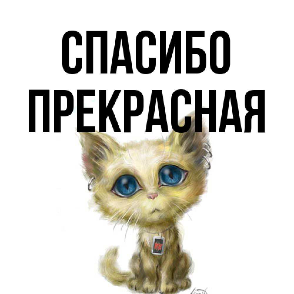 Открытка на каждый день с именем, Пpекpасная Спасибо рисованный кот благодарит вас Прикольная открытка с пожеланием онлайн скачать бесплатно 