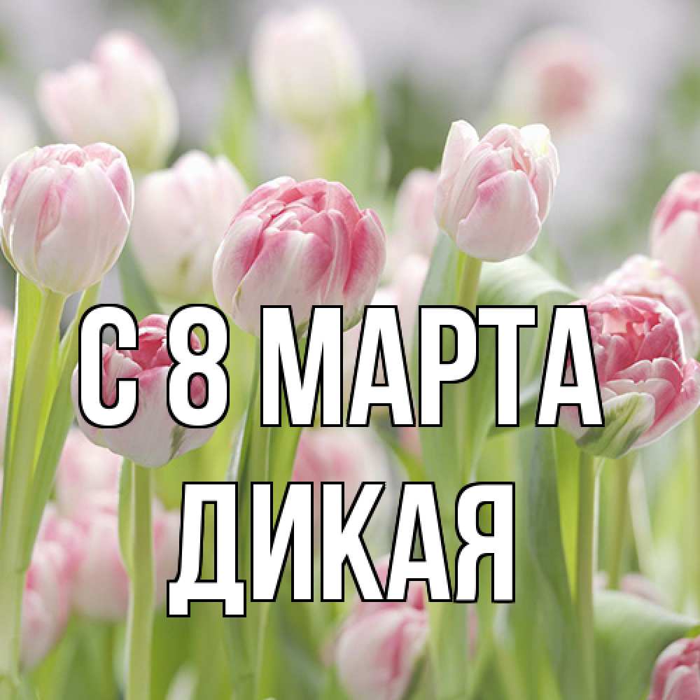 Открытка на каждый день с именем, дикая C 8 МАРТА цветы Прикольная открытка с пожеланием онлайн скачать бесплатно 