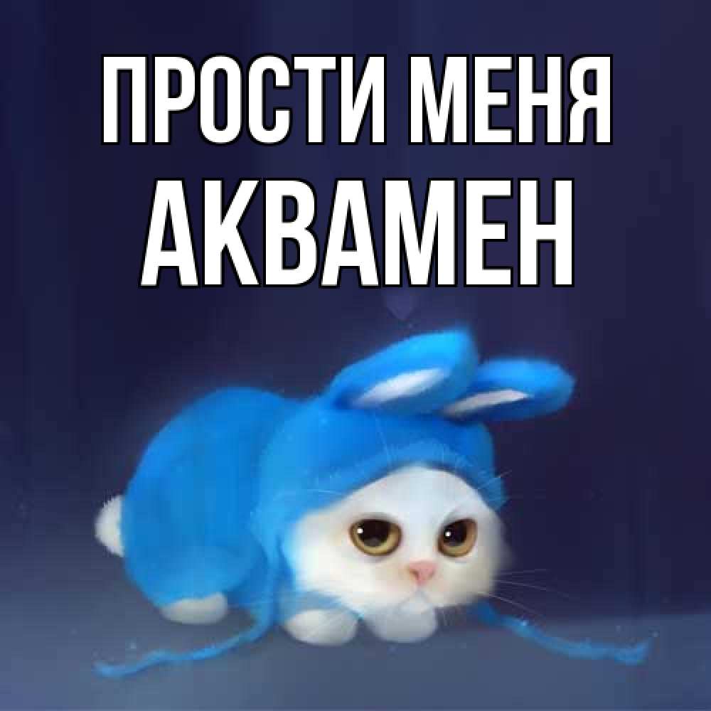 Открытка на каждый день с именем, Аквамен Прости меня невинный котозай просит прощения Прикольная открытка с пожеланием онлайн скачать бесплатно 