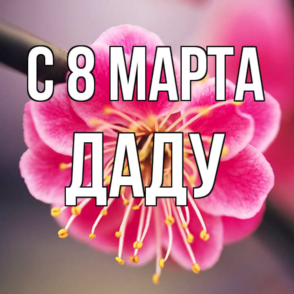 Открытка на каждый день с именем, Даду C 8 МАРТА цветы Прикольная открытка с пожеланием онлайн скачать бесплатно 