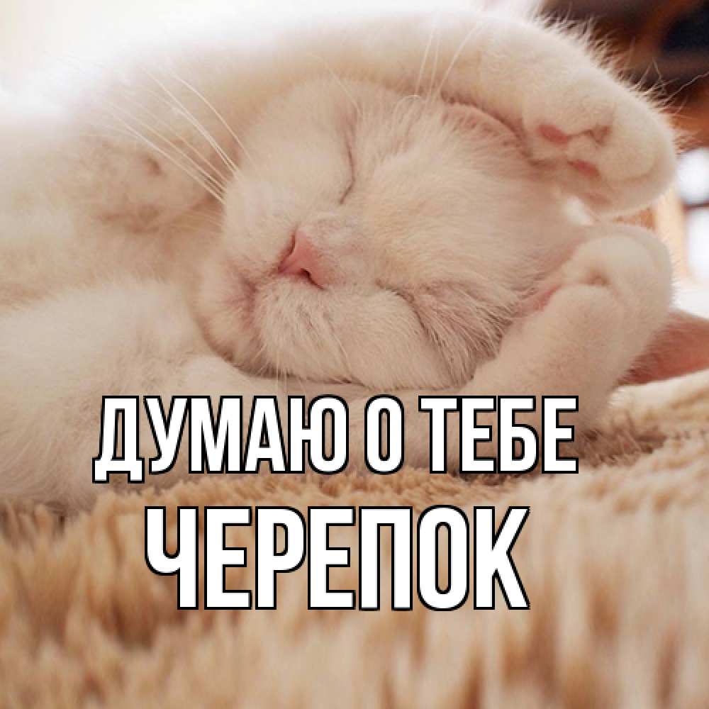 Открытка на каждый день с именем, Черепок Думаю о тебе для любимой девушки милота Прикольная открытка с пожеланием онлайн скачать бесплатно 