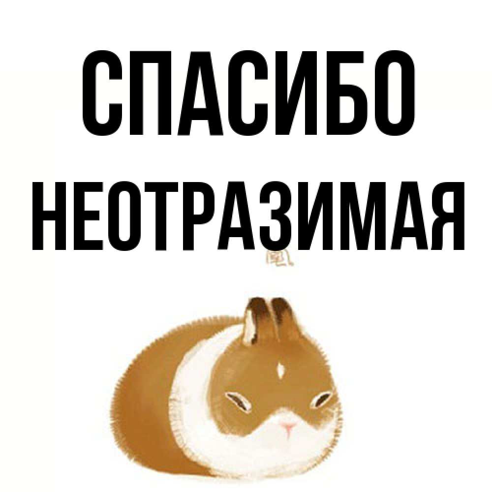 Открытка на каждый день с именем, Hеотpазимая Спасибо коричнево белый домашний питомец Прикольная открытка с пожеланием онлайн скачать бесплатно 