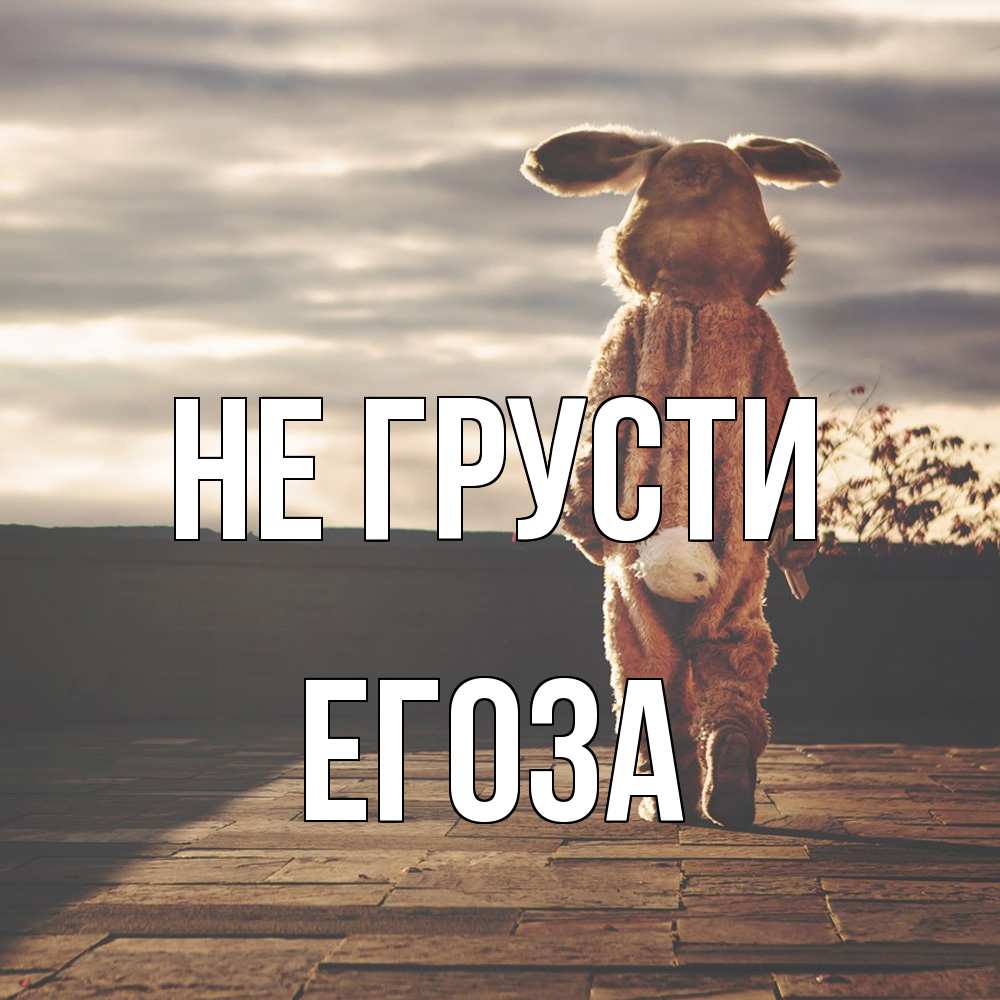 Открытка на каждый день с именем, егоза Не грусти со спины Прикольная открытка с пожеланием онлайн скачать бесплатно 