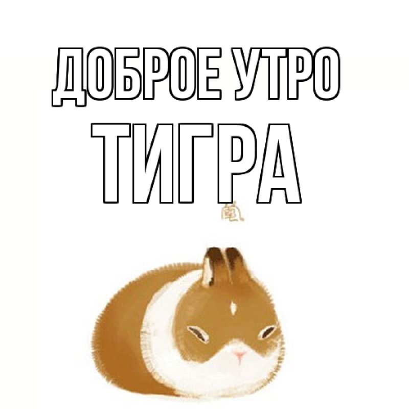 Картинка Доброе утро, Тигpа