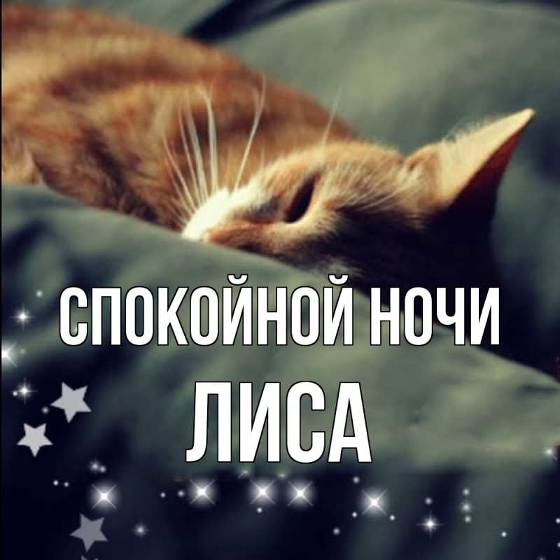 Картинка Спокойной ночи, лиса