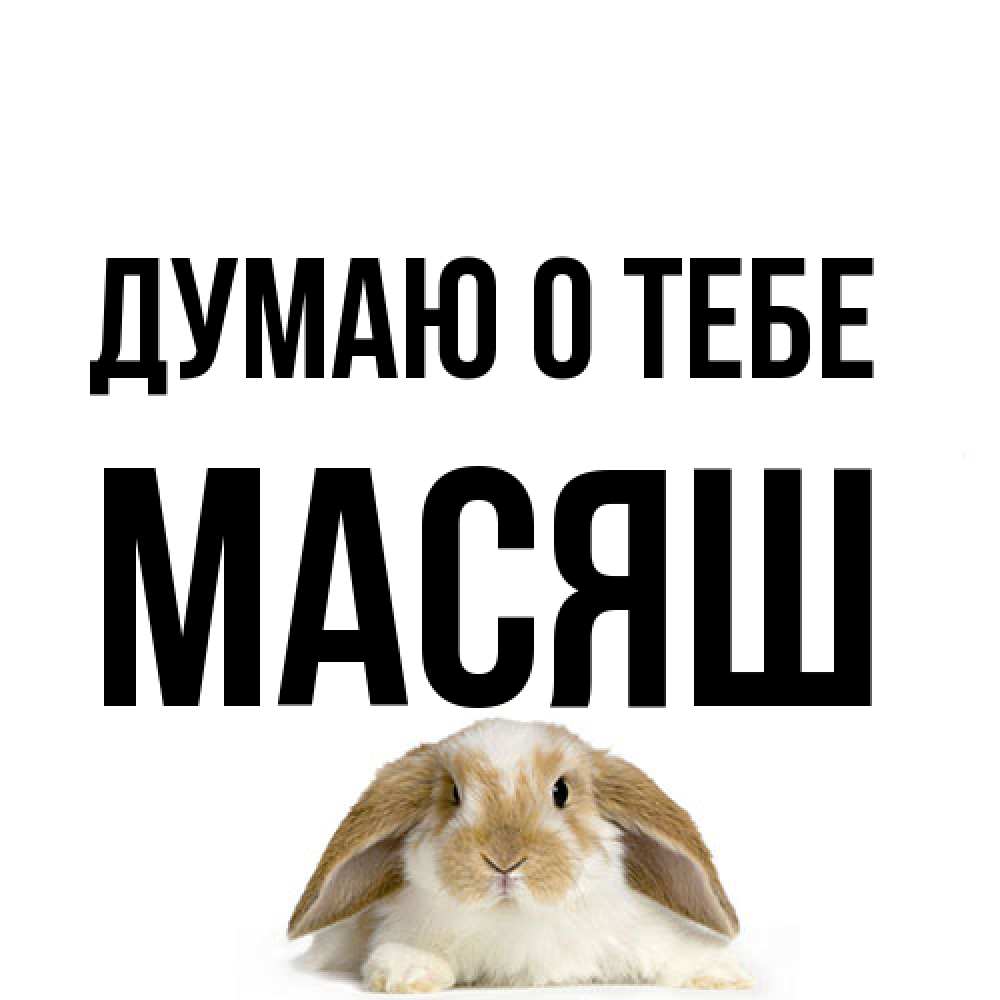 Открытка на каждый день с именем, Масяш Думаю о тебе подписать своими руками онлайн Прикольная открытка с пожеланием онлайн скачать бесплатно 