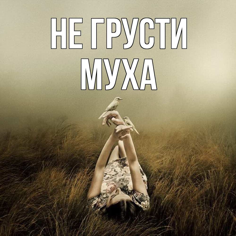 Открытка на каждый день с именем, Муха Не грусти поле и туман Прикольная открытка с пожеланием онлайн скачать бесплатно 
