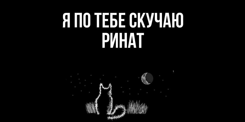 Открытка на каждый день с именем, Ринат Я по тебе скучаю кот Прикольная открытка с пожеланием онлайн скачать бесплатно 