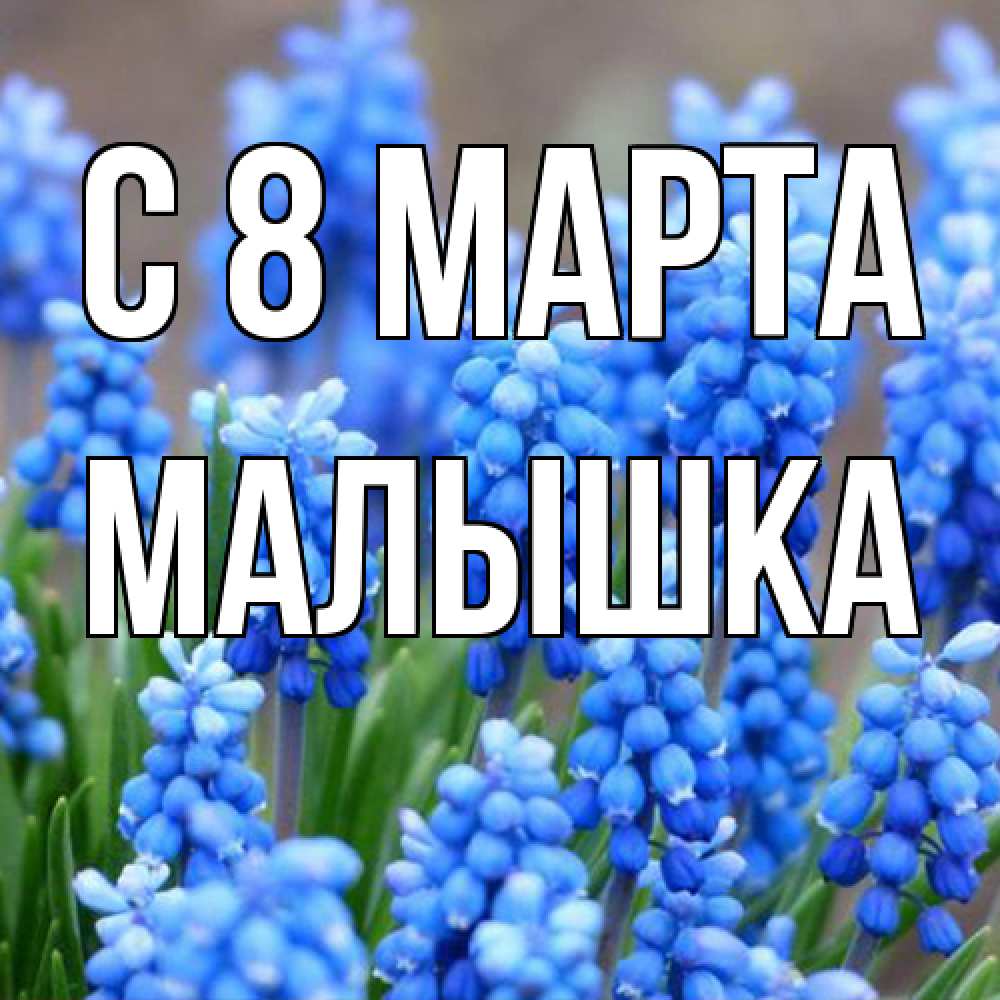 Открытка на каждый день с именем, малышка C 8 МАРТА Поздравительная открытка для женщин с цветами на праздничную дату Прикольная открытка с пожеланием онлайн скачать бесплатно 