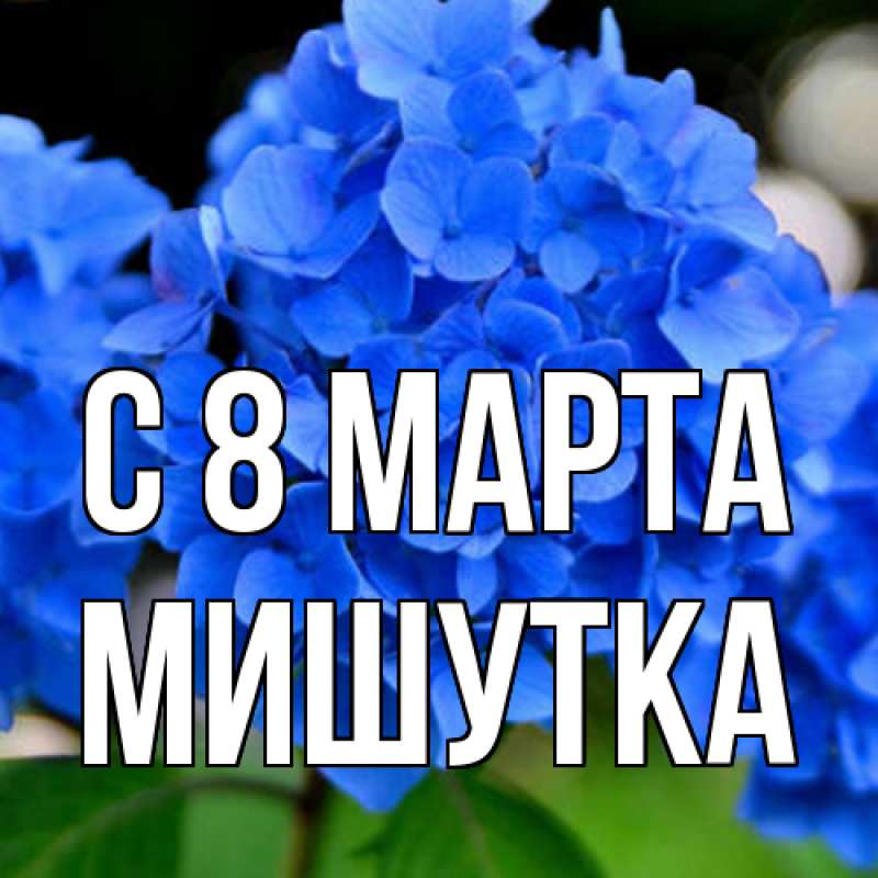 Картинка C 8 МАРТА, Мишутка