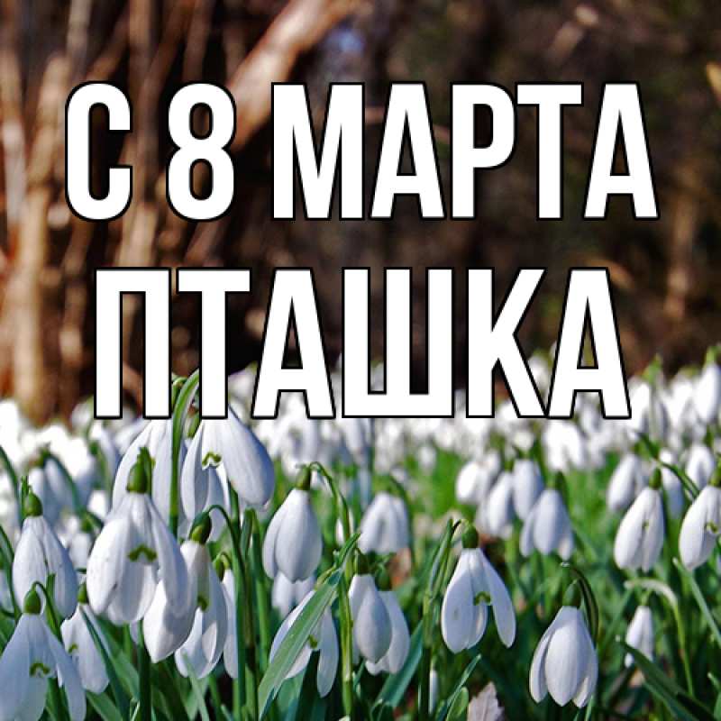 Картинка C 8 МАРТА, пташка