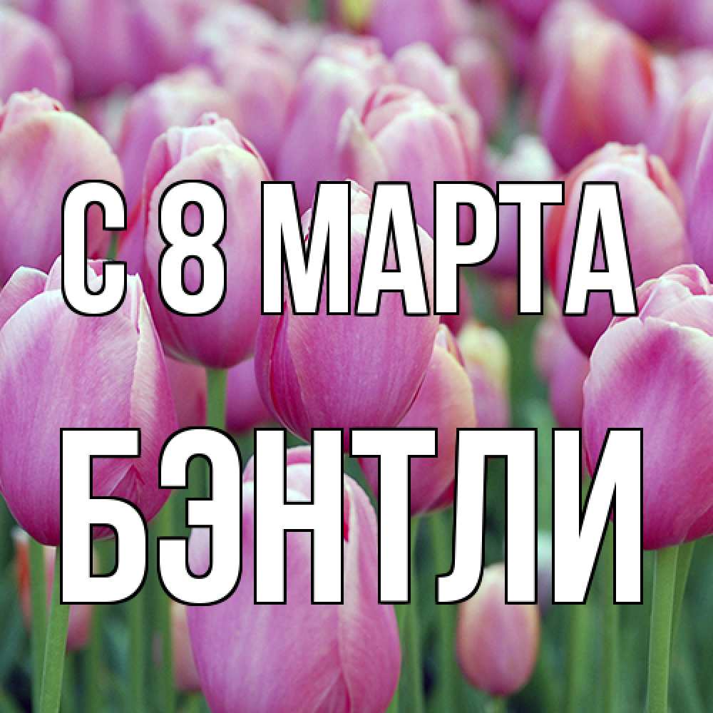 Открытка на каждый день с именем, Бэнтли C 8 МАРТА на международный женский день 3 Прикольная открытка с пожеланием онлайн скачать бесплатно 