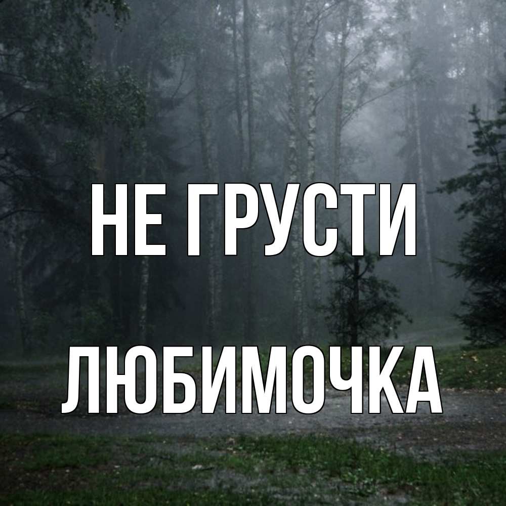 Открытка на каждый день с именем, Любимочка Не грусти осень Прикольная открытка с пожеланием онлайн скачать бесплатно 