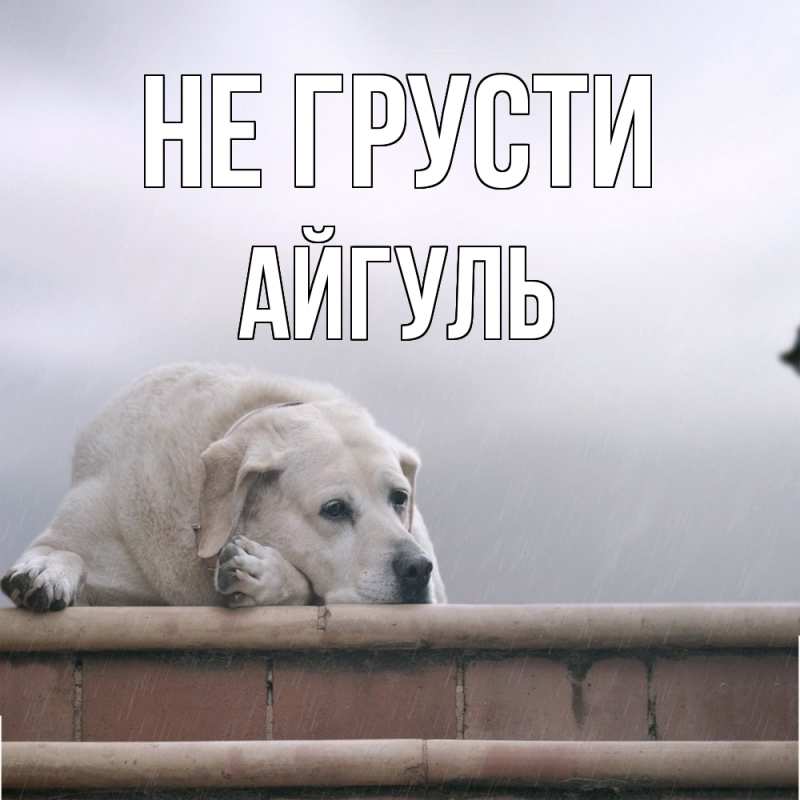 Картинка Не грусти, Айгуль