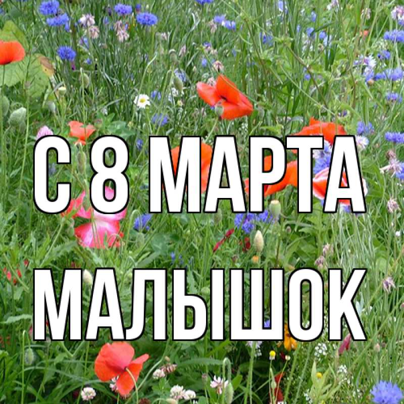 Картинка C 8 МАРТА, малышок