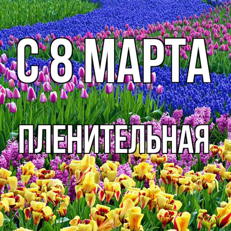 Картинка C 8 МАРТА, пленительная
