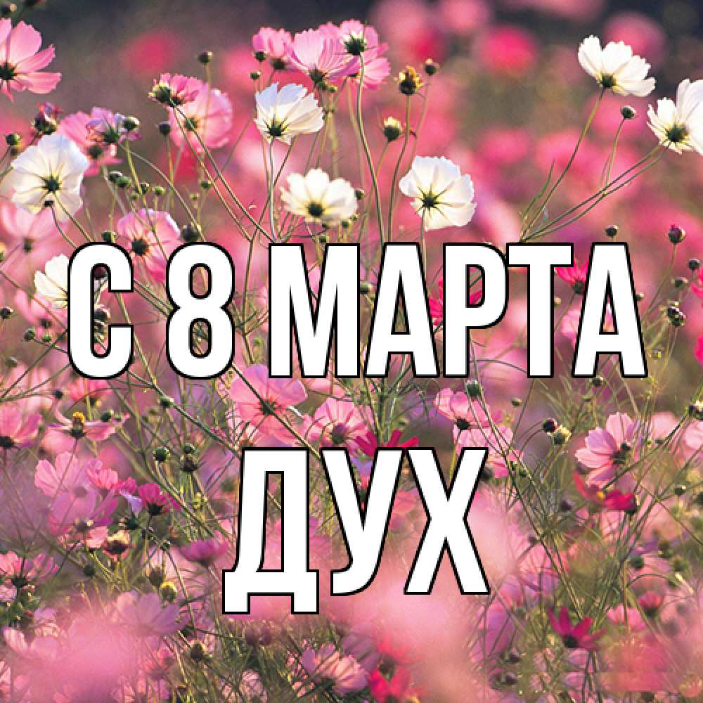 Открытка на каждый день с именем, Дух C 8 МАРТА красиво 1 Прикольная открытка с пожеланием онлайн скачать бесплатно 