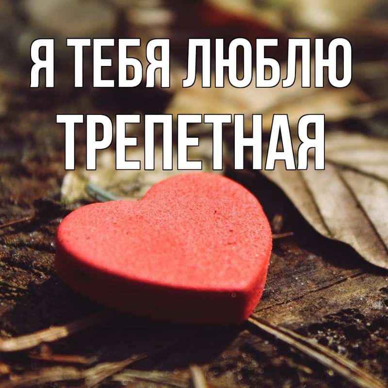 Картинка Я тебя люблю, Тpепетная