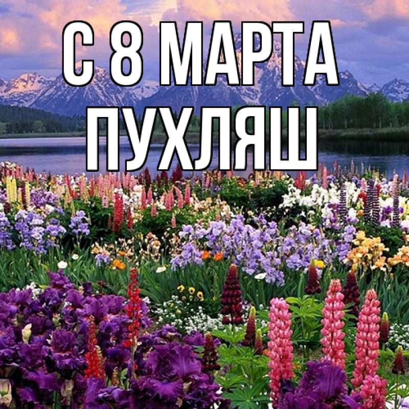 Картинка C 8 МАРТА, пухляш