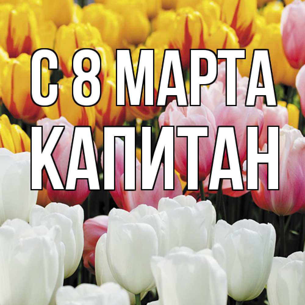 Открытка на каждый день с именем, Капитан C 8 МАРТА разноцветные цветы Прикольная открытка с пожеланием онлайн скачать бесплатно 