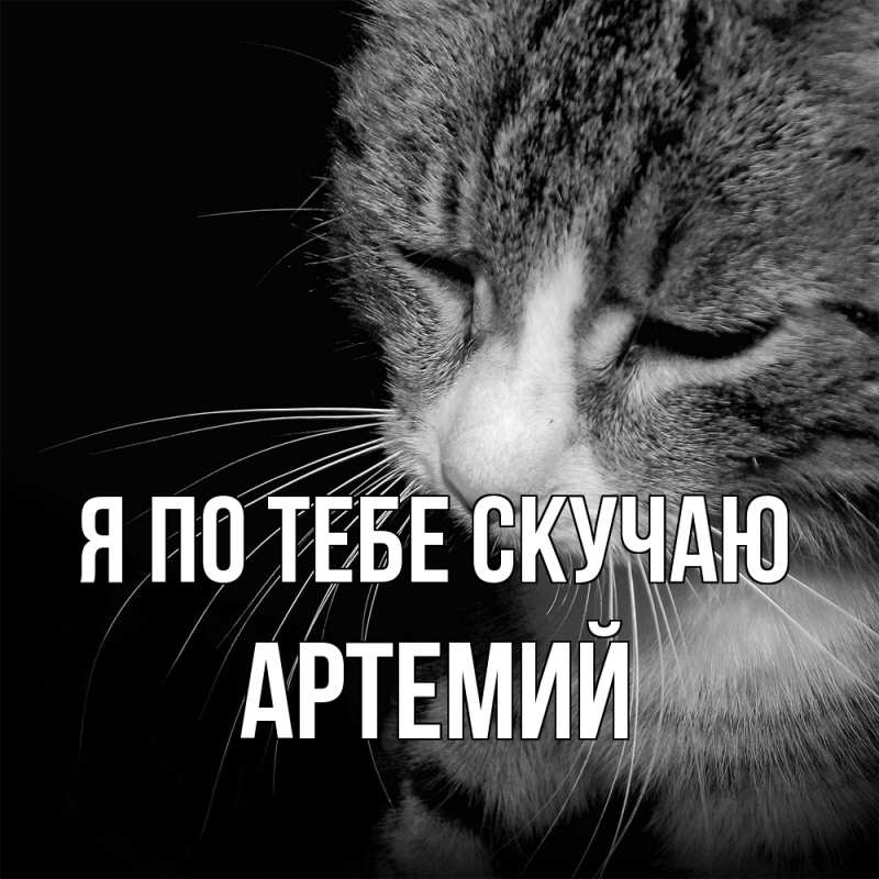 Картинка Я по тебе скучаю, Артемий