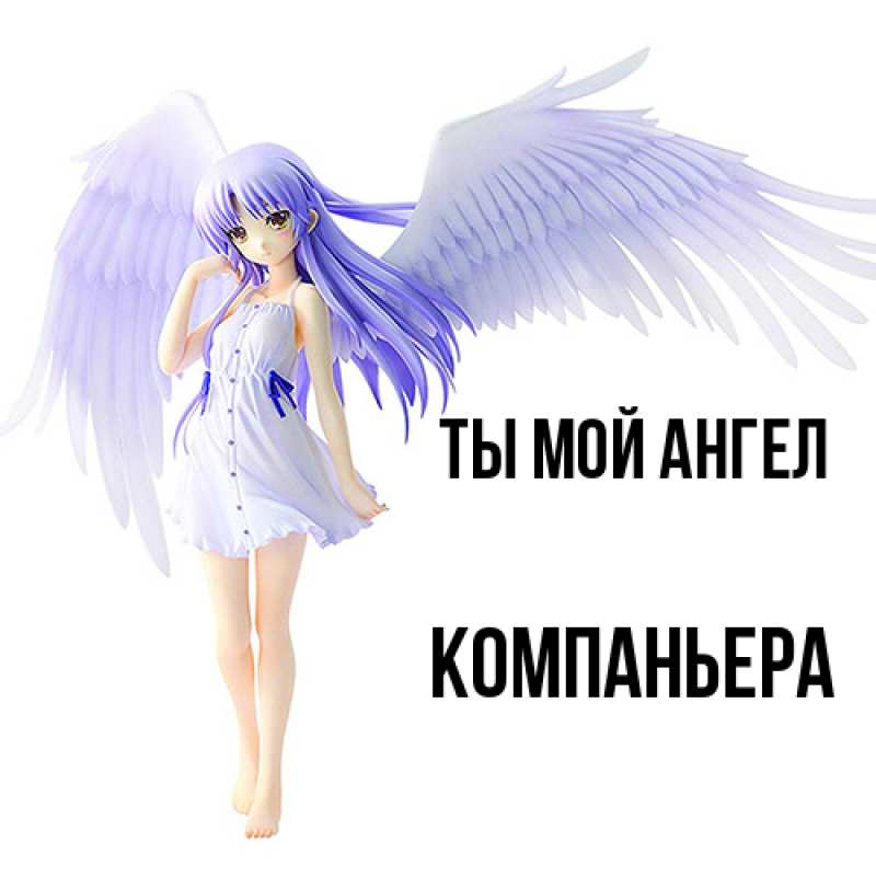 Картинка Ты мой ангел, Компаньера