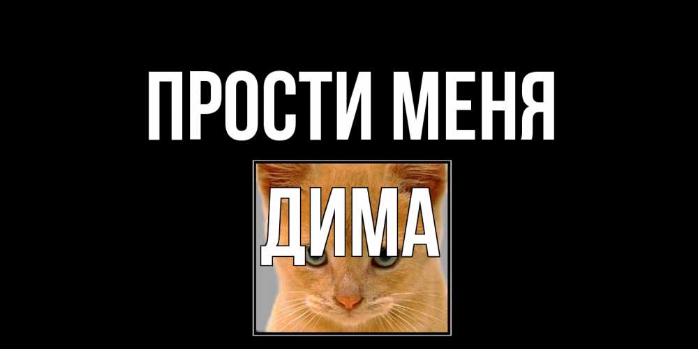 Открытка на каждый день с именем, Дима Прости меня рыжий грустный кот просит прощения Прикольная открытка с пожеланием онлайн скачать бесплатно 
