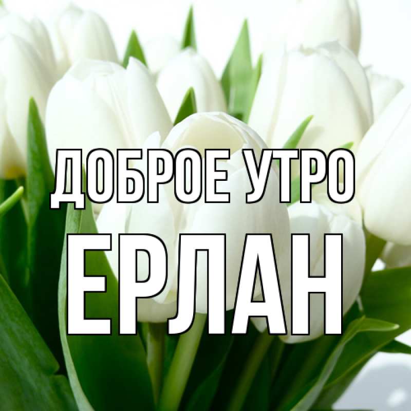 Картинка Доброе утро, Ерлан