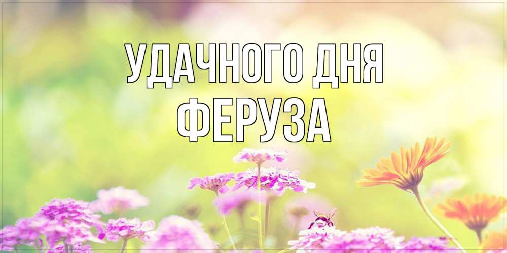 Открытка на каждый день с именем, Феруза Удачного дня красивая открытка с летней темой Прикольная открытка с пожеланием онлайн скачать бесплатно 