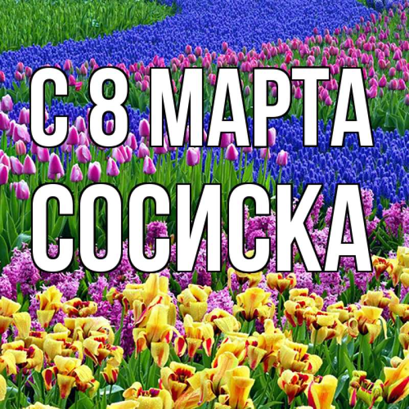 Картинка C 8 МАРТА, Сосиска