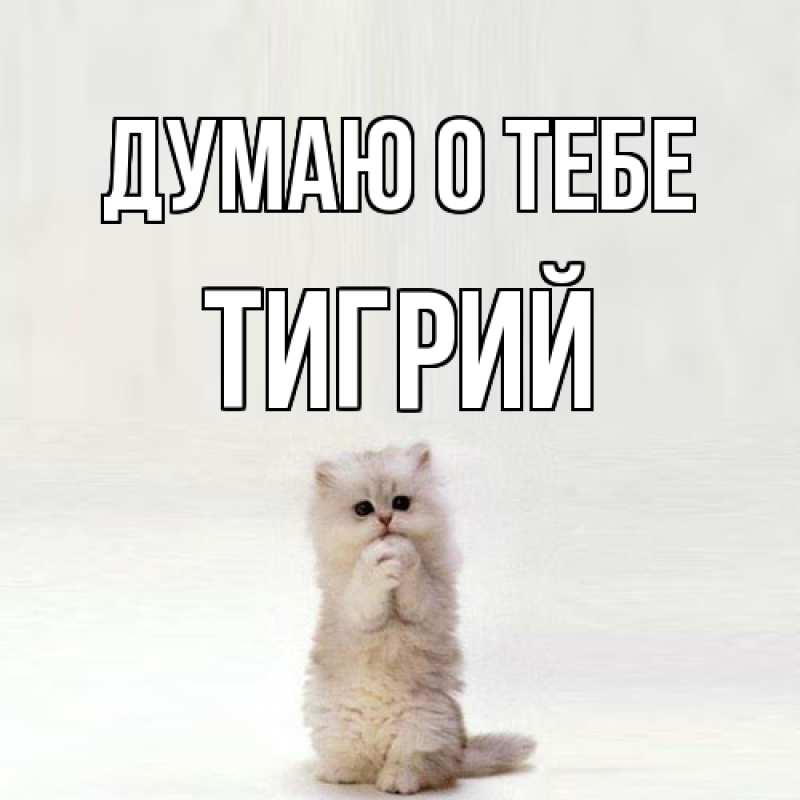 Картинка Думаю о тебе, Тигрий