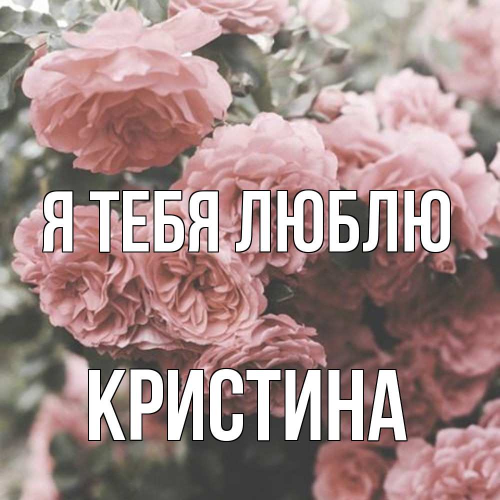 Открытка на каждый день с именем, Кристина Я тебя люблю розы 3 Прикольная открытка с пожеланием онлайн скачать бесплатно 